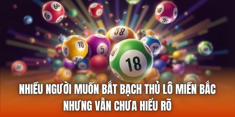 Nhiều người muốn bắt bạch thủ lô miền Bắc nhưng vẫn chưa hiểu rõ