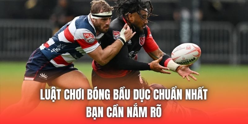 Luật Chơi Bóng Bầu Dục Chuẩn Nhất Bạn Cần Nắm Rõ